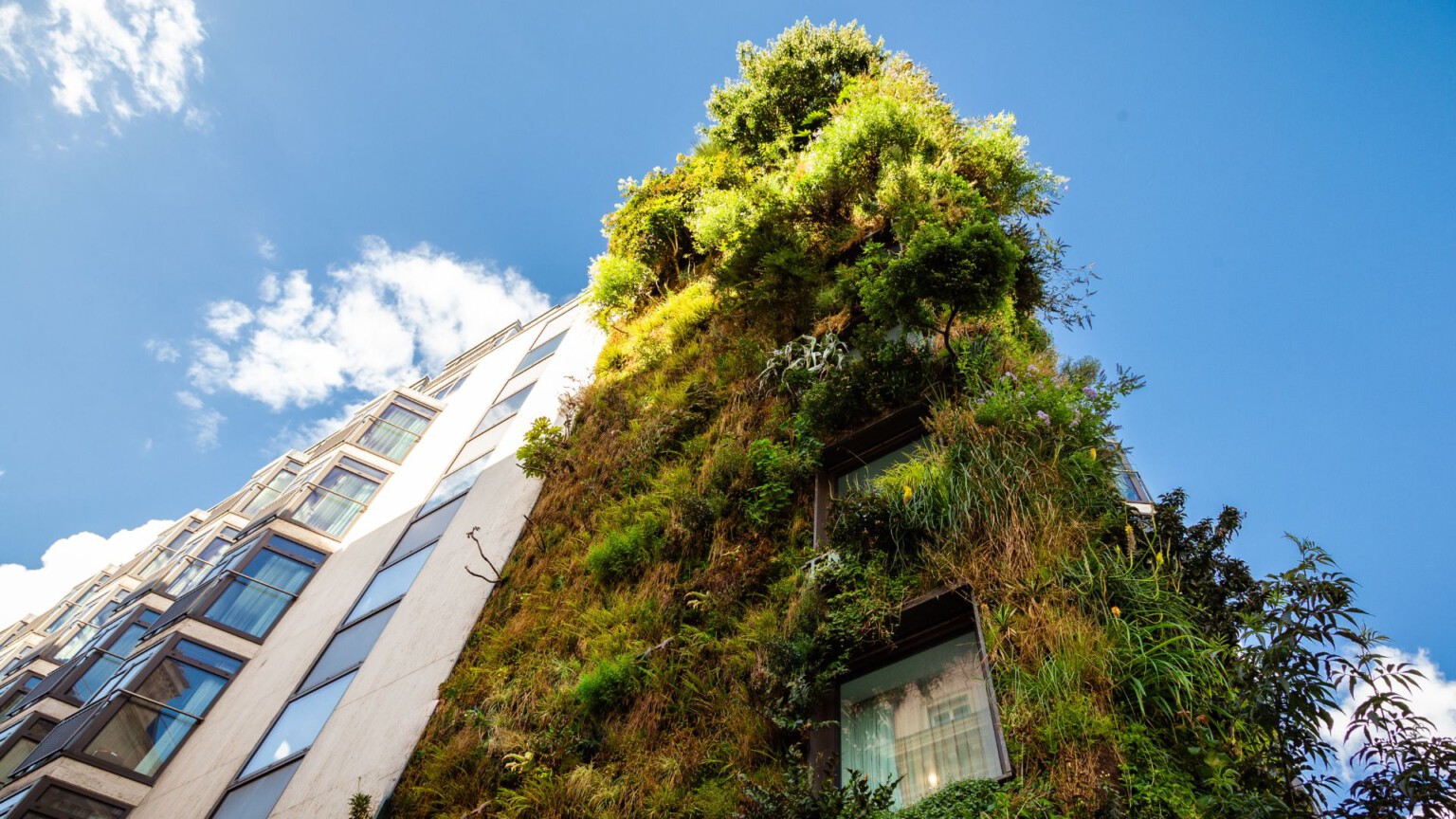ciudades ecosistema post cabecera